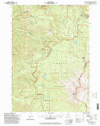 Diamond Peak Oregon Historical topographic map, 1:24000 scale, 7.5 X 7.5 Minute, Year 1997