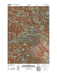 Diamond Peak Oregon Historical topographic map, 1:24000 scale, 7.5 X 7.5 Minute, Year 2011