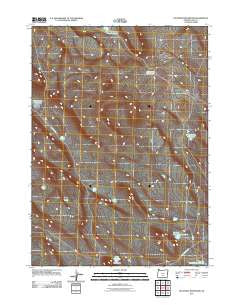 Diatomite Reservoir Oregon Historical topographic map, 1:24000 scale, 7.5 X 7.5 Minute, Year 2011