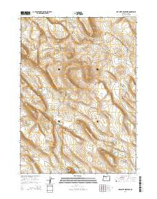 Diatomite Reservoir Oregon Current topographic map, 1:24000 scale, 7.5 X 7.5 Minute, Year 2014