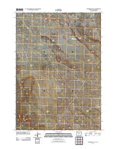 Dickerson Flat Oregon Historical topographic map, 1:24000 scale, 7.5 X 7.5 Minute, Year 2011