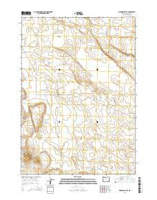 Dickerson Flat Oregon Current topographic map, 1:24000 scale, 7.5 X 7.5 Minute, Year 2014