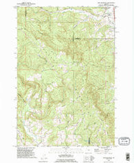 Dixie Mountain Oregon Historical topographic map, 1:24000 scale, 7.5 X 7.5 Minute, Year 1990