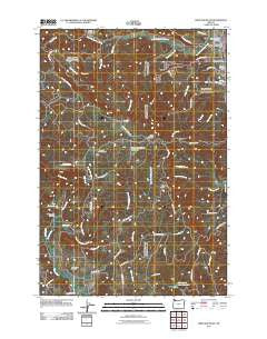 Dixie Mountain Oregon Historical topographic map, 1:24000 scale, 7.5 X 7.5 Minute, Year 2011