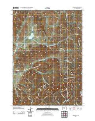 Dixonville Oregon Historical topographic map, 1:24000 scale, 7.5 X 7.5 Minute, Year 2011