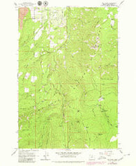 Dog River Oregon Historical topographic map, 1:24000 scale, 7.5 X 7.5 Minute, Year 1962