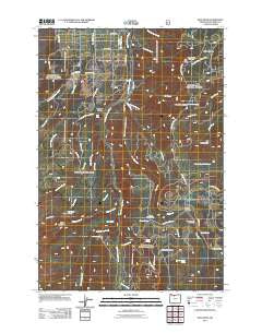 Dog River Oregon Historical topographic map, 1:24000 scale, 7.5 X 7.5 Minute, Year 2011
