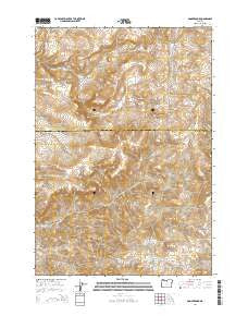 Donnybrook Oregon Current topographic map, 1:24000 scale, 7.5 X 7.5 Minute, Year 2014