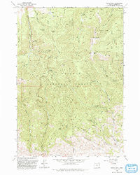 Dooley Mtn Oregon Historical topographic map, 1:24000 scale, 7.5 X 7.5 Minute, Year 1993