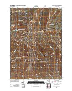 Dooley Mountain Oregon Historical topographic map, 1:24000 scale, 7.5 X 7.5 Minute, Year 2011