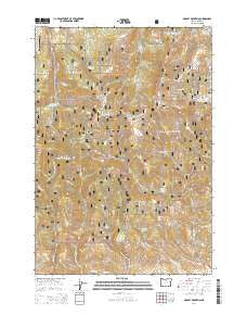 Dooley Mountain Oregon Current topographic map, 1:24000 scale, 7.5 X 7.5 Minute, Year 2014