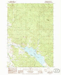 Dorena Lake Oregon Historical topographic map, 1:24000 scale, 7.5 X 7.5 Minute, Year 1986