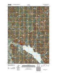 Dorena Lake Oregon Historical topographic map, 1:24000 scale, 7.5 X 7.5 Minute, Year 2011