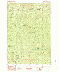 Dovre Peak Oregon Historical topographic map, 1:24000 scale, 7.5 X 7.5 Minute, Year 1984