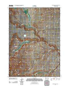 Drake Peak NE Oregon Historical topographic map, 1:24000 scale, 7.5 X 7.5 Minute, Year 2011