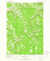 Drumhill Ridge Oregon Historical topographic map, 1:24000 scale, 7.5 X 7.5 Minute, Year 1964