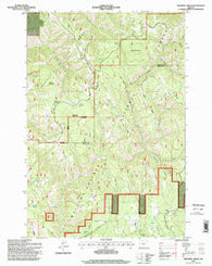 Drumhill Ridge Oregon Historical topographic map, 1:24000 scale, 7.5 X 7.5 Minute, Year 1995
