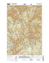 Drumhill Ridge Oregon Current topographic map, 1:24000 scale, 7.5 X 7.5 Minute, Year 2014