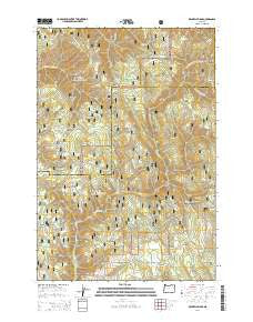 Drumhill Ridge Oregon Current topographic map, 1:24000 scale, 7.5 X 7.5 Minute, Year 2014