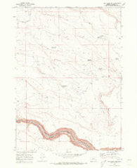 Dry Creek Rim Oregon Historical topographic map, 1:24000 scale, 7.5 X 7.5 Minute, Year 1969