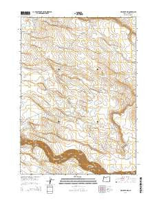 Dry Creek Rim Oregon Current topographic map, 1:24000 scale, 7.5 X 7.5 Minute, Year 2014