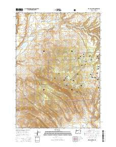 Dry Mountain Oregon Current topographic map, 1:24000 scale, 7.5 X 7.5 Minute, Year 2014