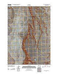 Dry Valley Rim Oregon Historical topographic map, 1:24000 scale, 7.5 X 7.5 Minute, Year 2011