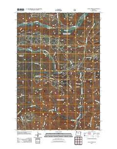 Duck Creek Oregon Historical topographic map, 1:24000 scale, 7.5 X 7.5 Minute, Year 2011