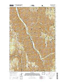 Duncan Oregon Current topographic map, 1:24000 scale, 7.5 X 7.5 Minute, Year 2014