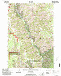 Duncan Oregon Historical topographic map, 1:24000 scale, 7.5 X 7.5 Minute, Year 1995