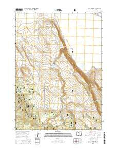 Duncan Reservoir Oregon Current topographic map, 1:24000 scale, 7.5 X 7.5 Minute, Year 2014