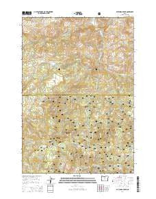 Dutchman Creek Oregon Current topographic map, 1:24000 scale, 7.5 X 7.5 Minute, Year 2014