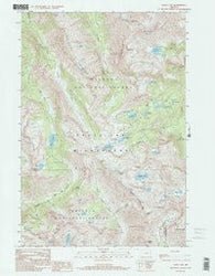 Eagle Cap Oregon Historical topographic map, 1:24000 scale, 7.5 X 7.5 Minute, Year 1990