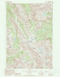 Eagle Cap Oregon Historical topographic map, 1:24000 scale, 7.5 X 7.5 Minute, Year 1990