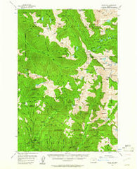 Eagle Cap Oregon Historical topographic map, 1:62500 scale, 15 X 15 Minute, Year 1954