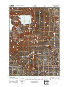 East Lake Oregon Historical topographic map, 1:24000 scale, 7.5 X 7.5 Minute, Year 2011