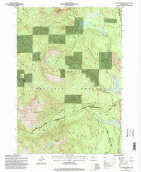 Echo Mountain Oregon Historical topographic map, 1:24000 scale, 7.5 X 7.5 Minute, Year 1994