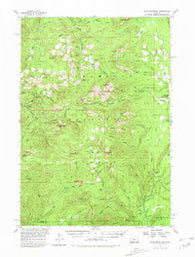 Echo Mountain Oregon Historical topographic map, 1:62500 scale, 15 X 15 Minute, Year 1955