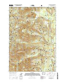 Echo Mountain Oregon Current topographic map, 1:24000 scale, 7.5 X 7.5 Minute, Year 2014