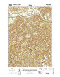 Eddyville Oregon Current topographic map, 1:24000 scale, 7.5 X 7.5 Minute, Year 2014
