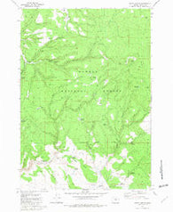 Egypt Canyon Oregon Historical topographic map, 1:24000 scale, 7.5 X 7.5 Minute, Year 1981