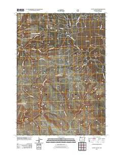 Egypt Canyon Oregon Historical topographic map, 1:24000 scale, 7.5 X 7.5 Minute, Year 2011