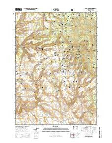 Egypt Canyon Oregon Current topographic map, 1:24000 scale, 7.5 X 7.5 Minute, Year 2014