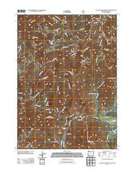 Eight Dollar Mountain Oregon Historical topographic map, 1:24000 scale, 7.5 X 7.5 Minute, Year 2011