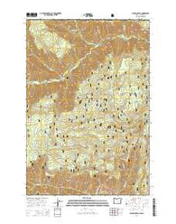 Elbow Creek Oregon Current topographic map, 1:24000 scale, 7.5 X 7.5 Minute, Year 2014