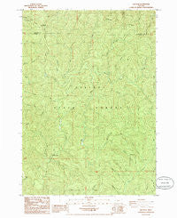 Elk Peak Oregon Historical topographic map, 1:24000 scale, 7.5 X 7.5 Minute, Year 1985