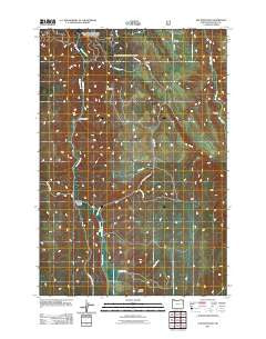 Elk Mountain Oregon Historical topographic map, 1:24000 scale, 7.5 X 7.5 Minute, Year 2011
