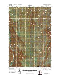 Elk Mountain SE Oregon Historical topographic map, 1:24000 scale, 7.5 X 7.5 Minute, Year 2011