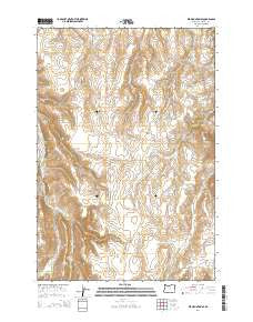 Elk Mountain SE Oregon Current topographic map, 1:24000 scale, 7.5 X 7.5 Minute, Year 2014