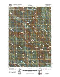 Elk Prairie Oregon Historical topographic map, 1:24000 scale, 7.5 X 7.5 Minute, Year 2011